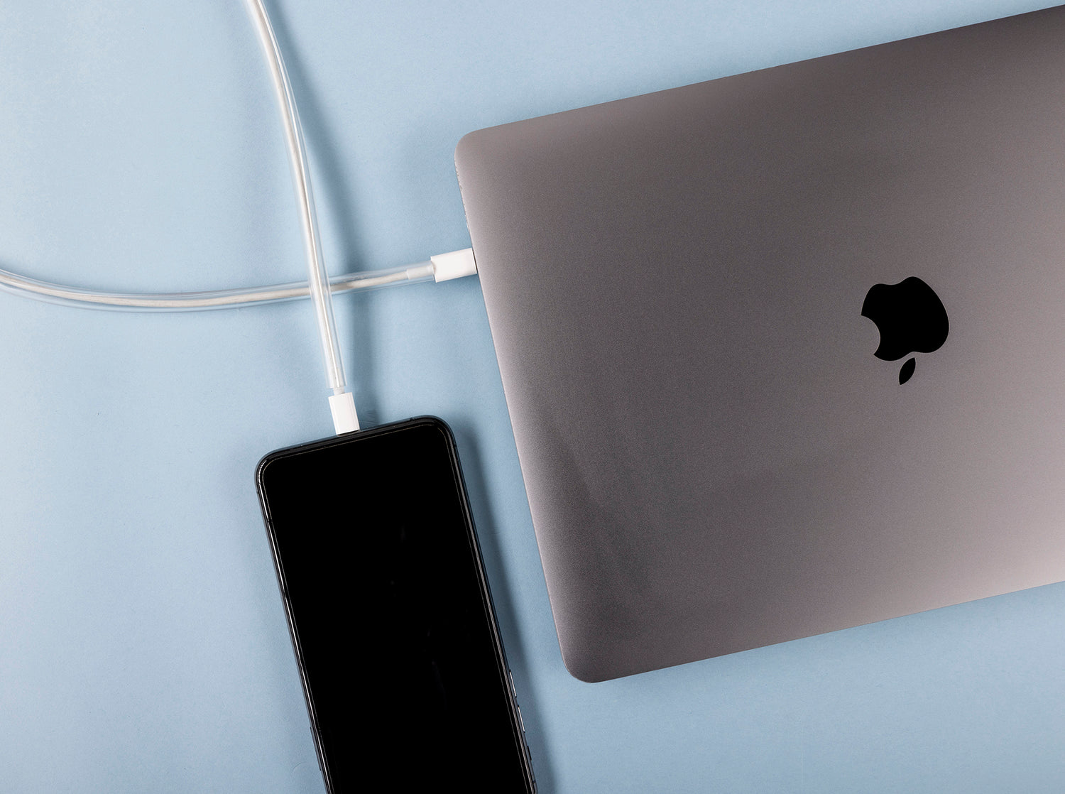 PETCORDS SIZING AND COLOR OPTIONS