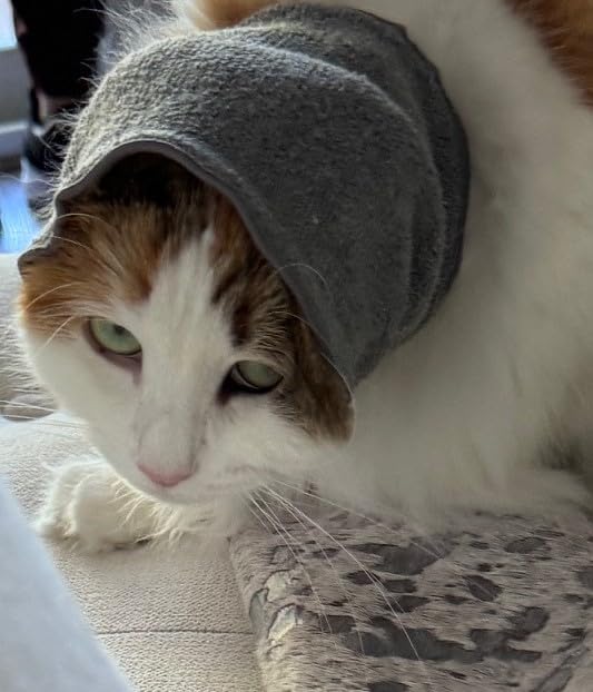 Cat Hoodz for Cats, Anxiety, Grooming, Ear Muffs, Cat Ear Protection, Calming, Ear Compression, Pet Hoodie, Cat Hoodie, Soft-Expandable Fabric for Cats, Great for Stressful situations