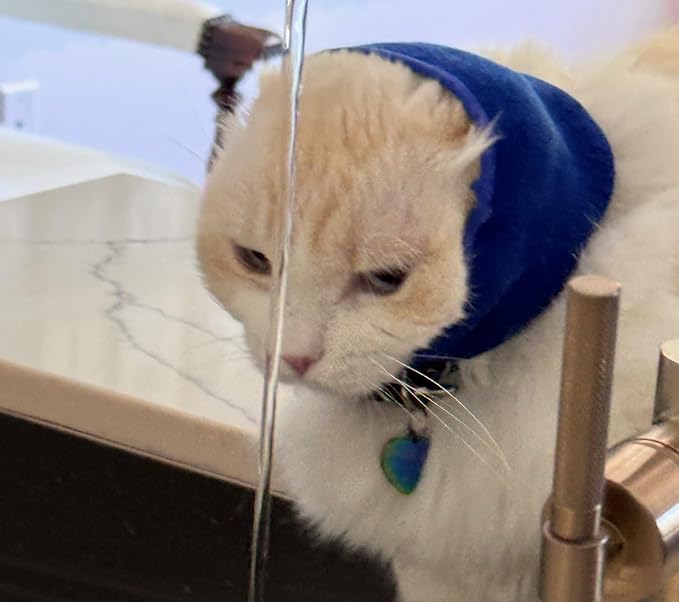 Cat Hoodz for Cats, Anxiety, Grooming, Ear Muffs, Cat Ear Protection, Calming, Ear Compression, Pet Hoodie, Cat Hoodie, Soft-Expandable Fabric for Cats, Great for Stressful situations