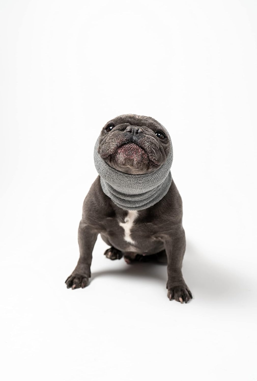 Pet Hoodz for Dogs-Anxiety, Grooming, Ear Muffs, Dog Ear Protection, Calming Hood, Ear Compression, Pet Hoodie, Dog Hoodie, Dog Ear Wrap