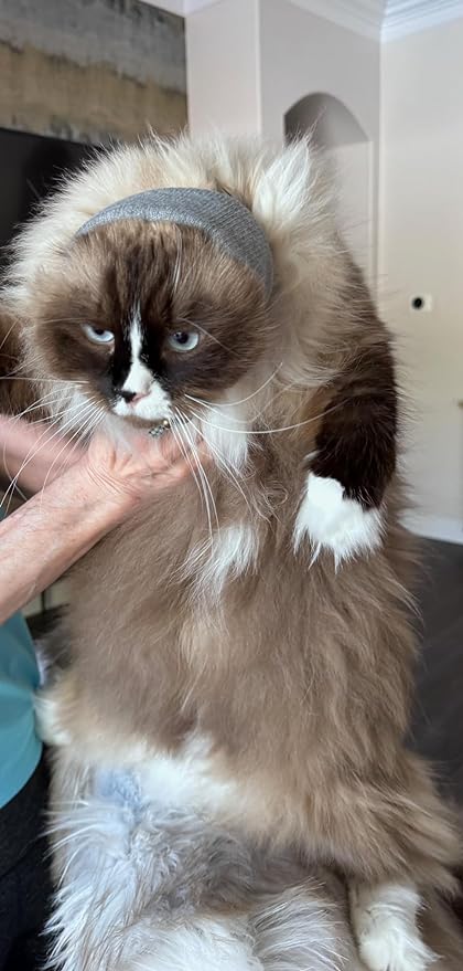 Cat Hoodz for Cats, Anxiety, Grooming, Ear Muffs, Cat Ear Protection, Calming, Ear Compression, Pet Hoodie, Cat Hoodie, Soft-Expandable Fabric for Cats, Great for Stressful situations