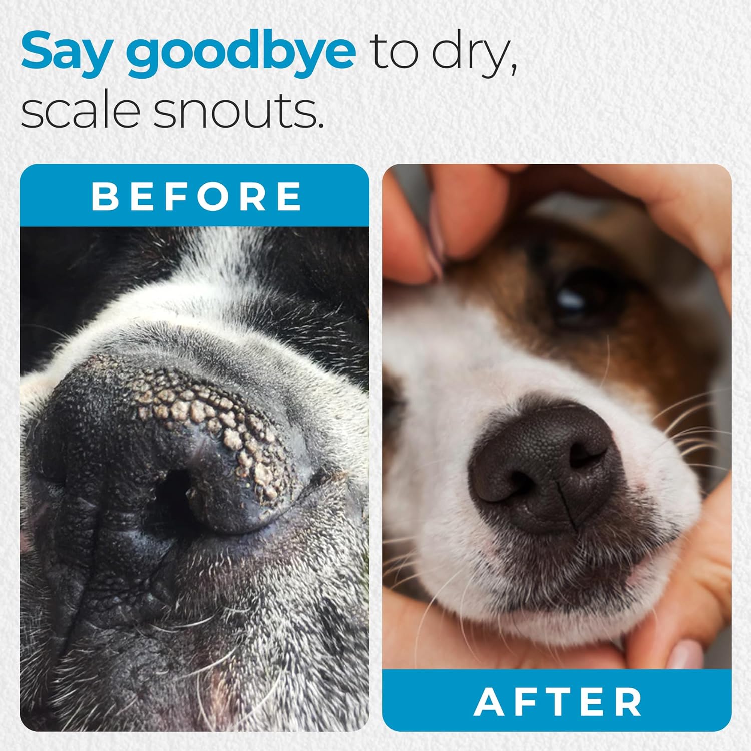 Over The Moon Pets Organic Dog Nose Balm- Unscented, Repairs Cracking, Dry Dog Noses, Dog Sunscreen, Veterinarian Recommended, Dog Paw Balm, Dog Cream, Cat Nose Balm (1oz)